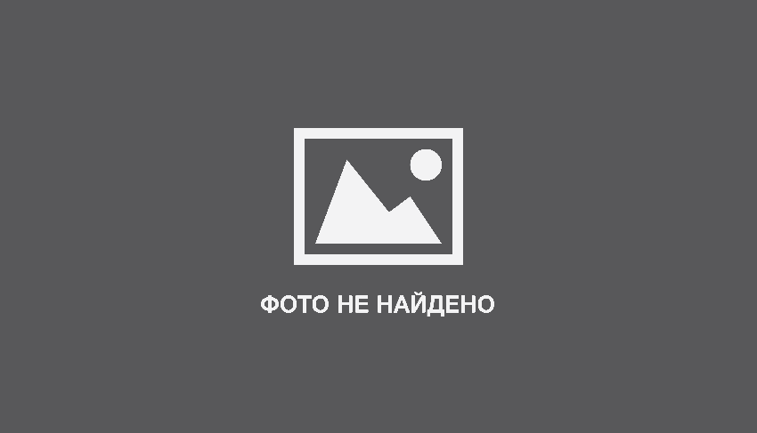 Какая древесина отличается наивысшим уровнем влагостойкости